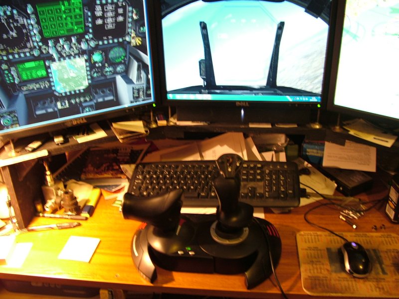 Flight Sim